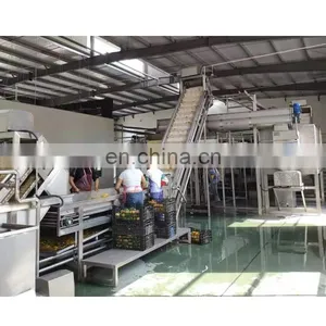 Pumpkin Processing Plant Fruit Beverage Making Machine thumbnail-2
