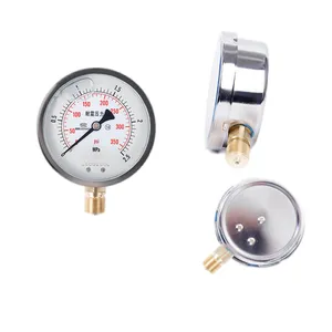 Pressure Gauge Threaded Connection Oil-filled Shock-resistant Pressure Gauge Y100 Air Pressure Oil Pressure Hydraulic Water Pressure Gauge Manufacturer thumbnail-1