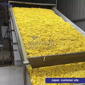 Automatic Nutmeg Dryer Machine Band Dryers Electric Dryer Machine Flower Drying Machine EPC thumbnail-2