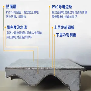 All Steel Anti-Static Flooring 600*600*35mm for Computer Room / Data Center – High Strength Foam Cement Fill, HPL/PVC Laminate thumbnail-2