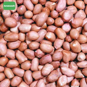 Reliable Natural Red Skin Round Shelled Peanut Kernels 70/80 for Bakery Production thumbnail-2
