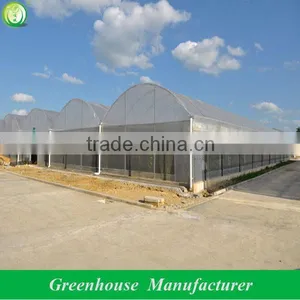 High Quality Strong Greenhouse Structure thumbnail-2