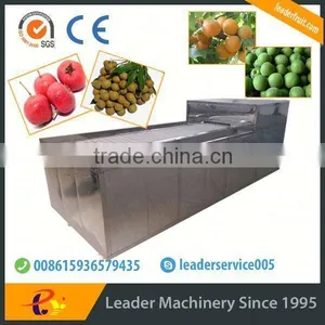 Leader Cherry Stoning Machine With Website:leaderservice005 thumbnail-1
