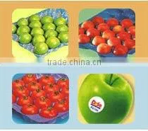 Fresh Fruit Packaging For Apple, Pear Etc thumbnail-1