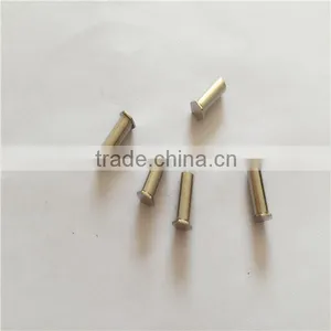 Hot-Selling Stainless Steel Bolt Rivet Nut thumbnail-1