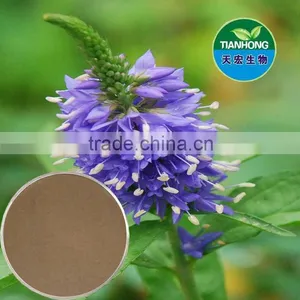 Leonurus Cardiaca Motherwort Extract Stachydrine thumbnail-1