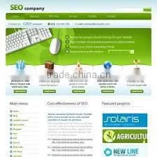 Internet Marketing and Seo Company India thumbnail-1