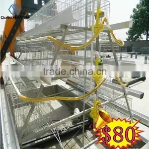 Whole Poultry Farming Equipment for Chicken House thumbnail-1