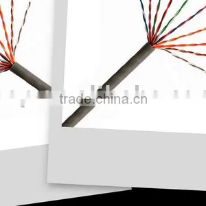UTP CAT5E 10 PAIRS CABLE thumbnail-1