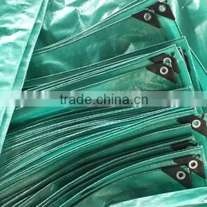 pe Sheet Any Color Any Size pe Sheet Cheap Price Best Quality thumbnail-1