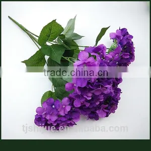 Wholesale Wedding Flowers Blue Hydrangeas Palnts thumbnail-3