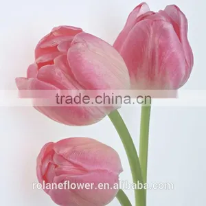 Export Wedding Decorative Fresh Flower Hot Pink Tulip thumbnail-3