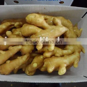 Clean Ginger thumbnail-1