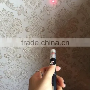 Wholesale Light Beam Red Laser Pointer Pen Beam thumbnail-1