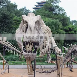 High Quality Dinosaur T-rex Fossil Model/Trade Assurance thumbnail-1