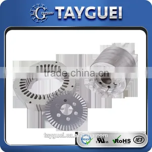 Professional OEM Rotor Stator Producer Stamping Die Casting Mould thumbnail-6