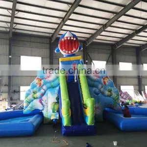 Jumping Castles Inflatable Water Slide,inflatable Vagina Slide thumbnail-3