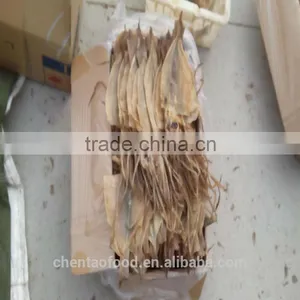 Dried Squids thumbnail-1