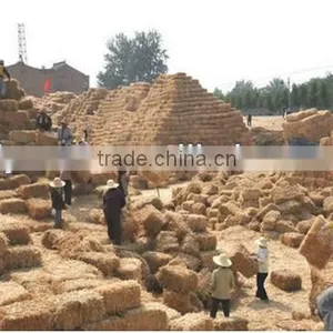 Waste Recycling Rice Straw Square Baling Hay thumbnail-1