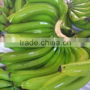 Vietnam Fresh Banana thumbnail-1