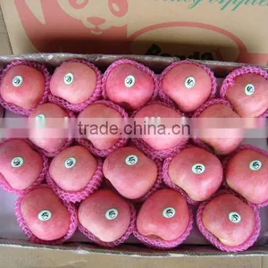 Fresh Apple Fruit Packaging thumbnail-2