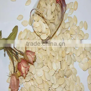 Harvest 2013 Shine Skin Pumpkin Seeds thumbnail-1