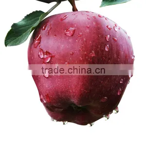 Juicy and Sweet Fresh Apple thumbnail-5