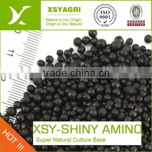 Black Granular Humic Acid Organic Fertilizer Nutrient For Agricultural Crops thumbnail-1