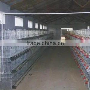 Agricultural Equipment Chicken Cage Stainless Steel Layer Chicken Cage A Type thumbnail-2