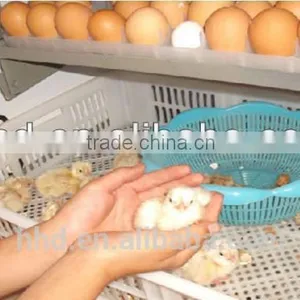 98% Hatching Rate CE Approved HHD Digital Chicken Egg Incubator Hatcher for Sale YZITE-7 thumbnail-6