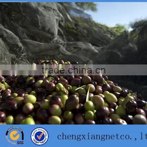 PE Olive Net/Fruit Harvest Netting thumbnail-2