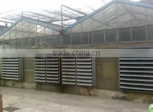 Commercial Greenhouse thumbnail-4