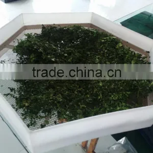 Moringa Leaf Drying Machine Microwave Oven thumbnail-3