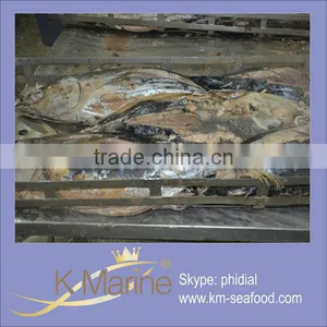 Professional Manufacture Supply High Quality Frozen Cooked Skipjack Tuna thumbnail-1