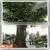 Factory Large Indoor Decor Artificial Fake Plastic Fiberglass Trees thumbnail-1
