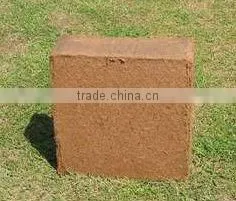 Coconut Peat thumbnail-3