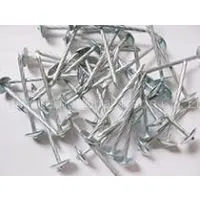 Galvanized Roofing Nail From China thumbnail-2