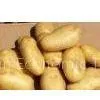 Potato thumbnail-1