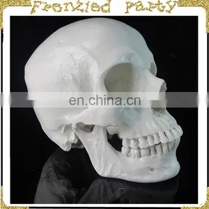 New Arrival Simulation Skull Wholesale Halloween Skull FGHS-0004 thumbnail-6