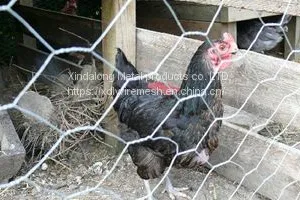 Chicken Wire Netting thumbnail-4