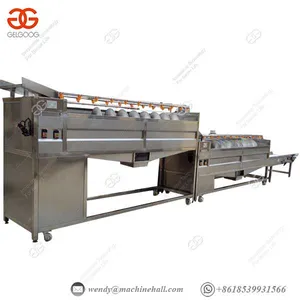 Industrial Automatic Sprinkling Tomato Washing Machine thumbnail-2