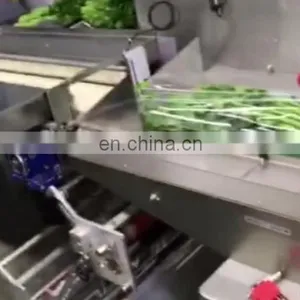 China Manufacturer Vegetable Horizontal Pillow Packaging Machine thumbnail-1