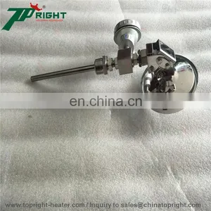 Wzp-230 Pt100 Temperature Sensor for Test the Temperature thumbnail-3