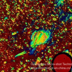 Professional Polarizing Microscope MP41 thumbnail-2