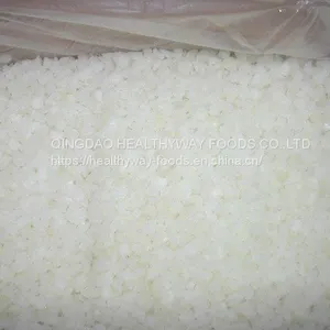 Frozen Onion Diced thumbnail-1