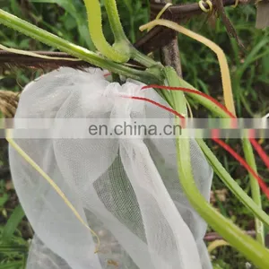Nylon Mesh Vegetables Packaging Bag Bug Net Bag thumbnail-5