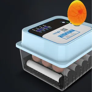 220v+12v Automaitic Egg Turning Mini Chicken Incubator for Home Use thumbnail-3
