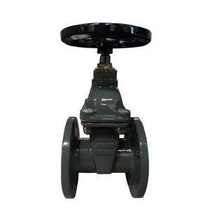 BS Ductile Iron Cast Iron Rising Stem Resilient Seat Gate Valve for Industrial Water Gas and Oil Control thumbnail-4