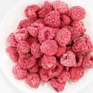 Industrial Freeze Dryer for Fruit and Vegetable on Sale Freeze-dried Mangoes Freeze-dried Raspberries Production Line thumbnail-4