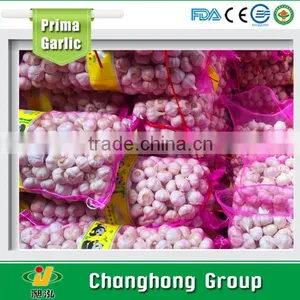 Factory Directly Supply New Crop Fresh Garlics thumbnail-2